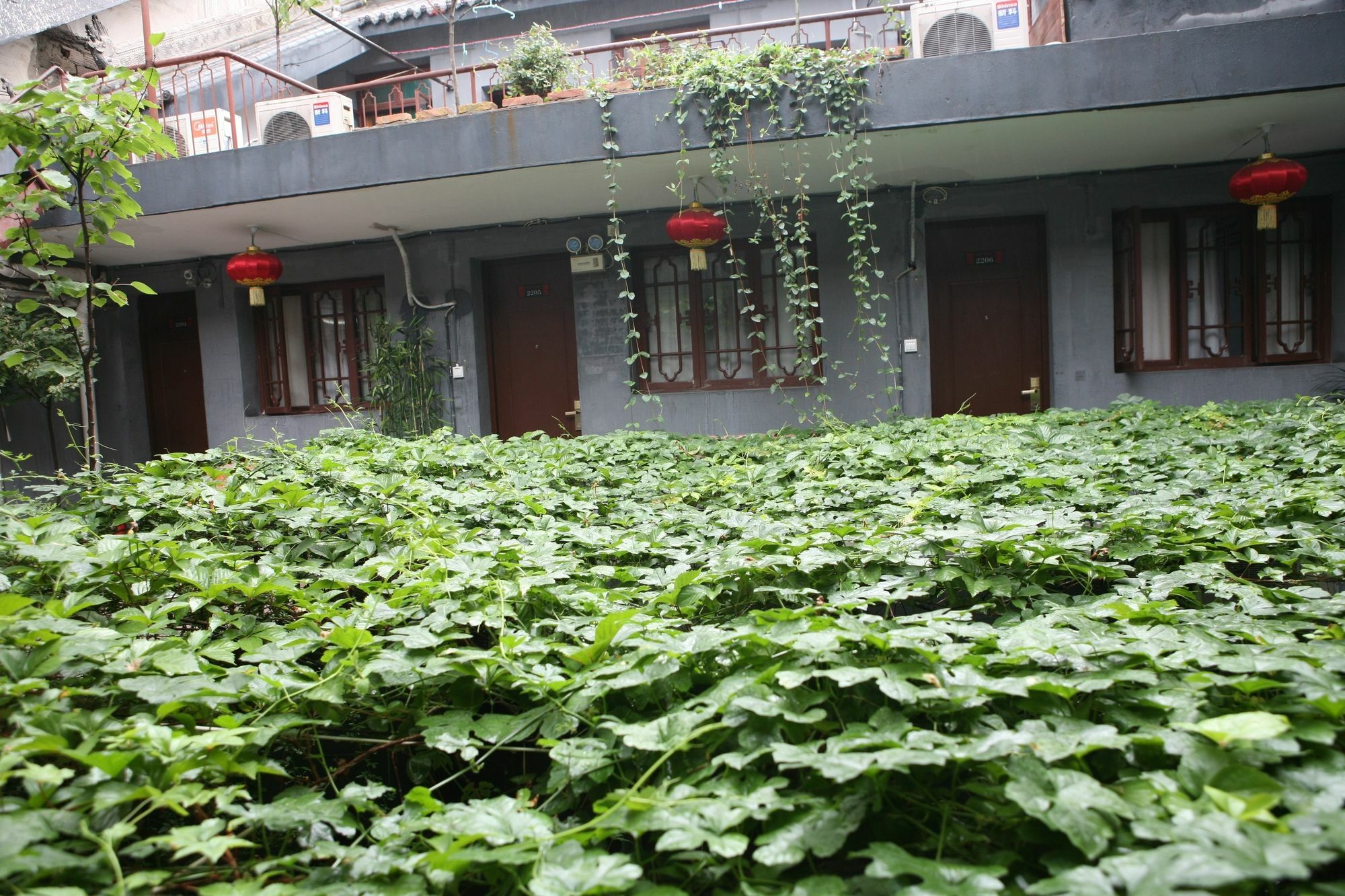 Shuyuan Youth Hostel Xi'An Xian Bagian luar foto